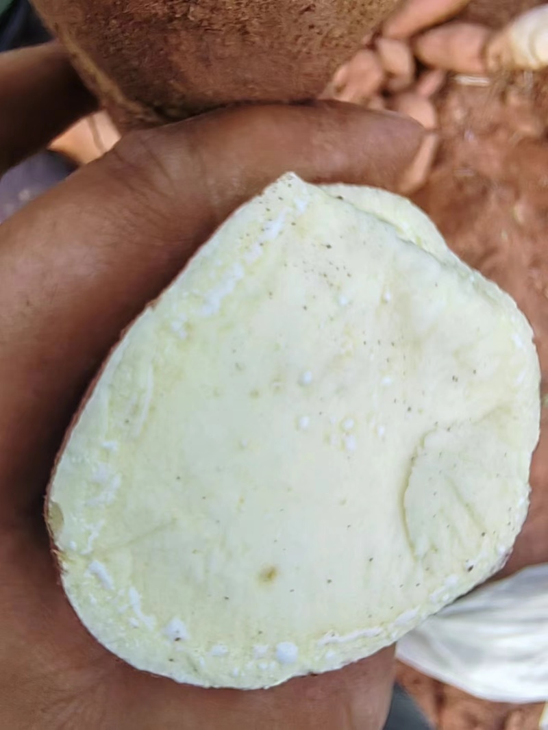四川白心蜜薯，软糯香甜，大量现货，对接电商，超市，市场！
