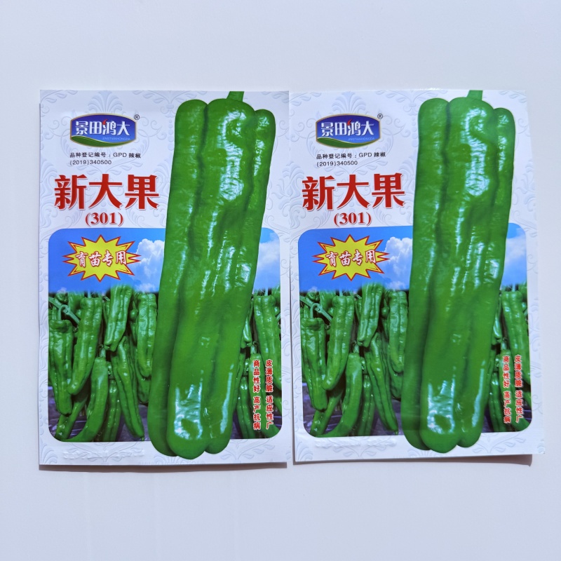 景田鸿大新大果辣椒种子杂交早熟高产抗病连续坐果能力强薄皮