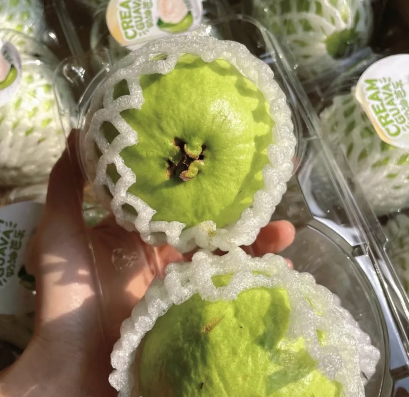 红心芭乐/番石榴大量有货品质优现摘现发可视频看货欢迎咨