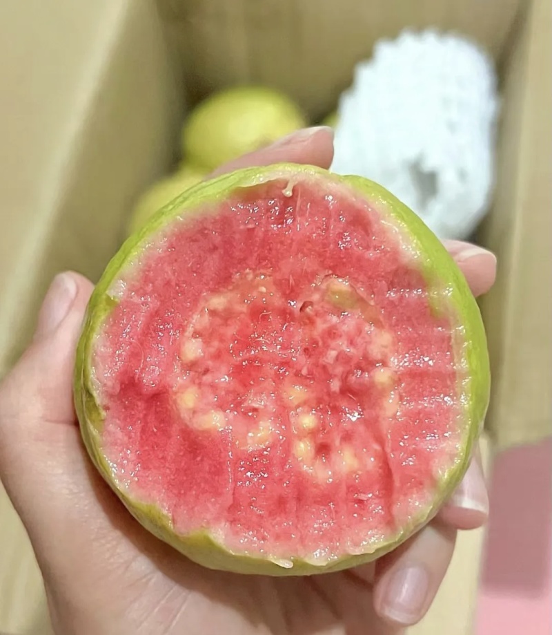 红心芭乐/番石榴大量有货品质优现摘现发可视频看货欢迎咨