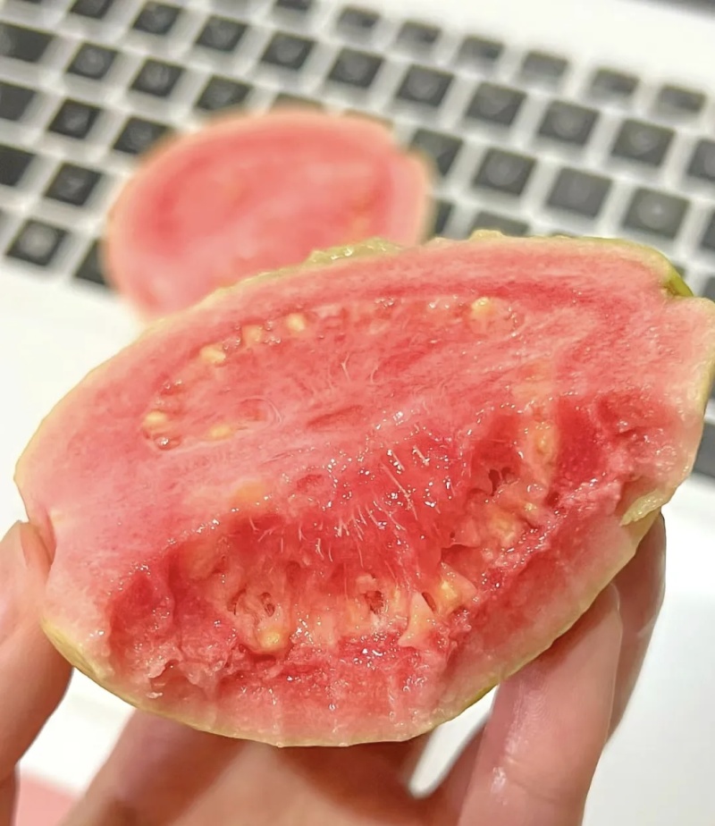 红心芭乐/番石榴大量有货品质优现摘现发可视频看货欢迎咨