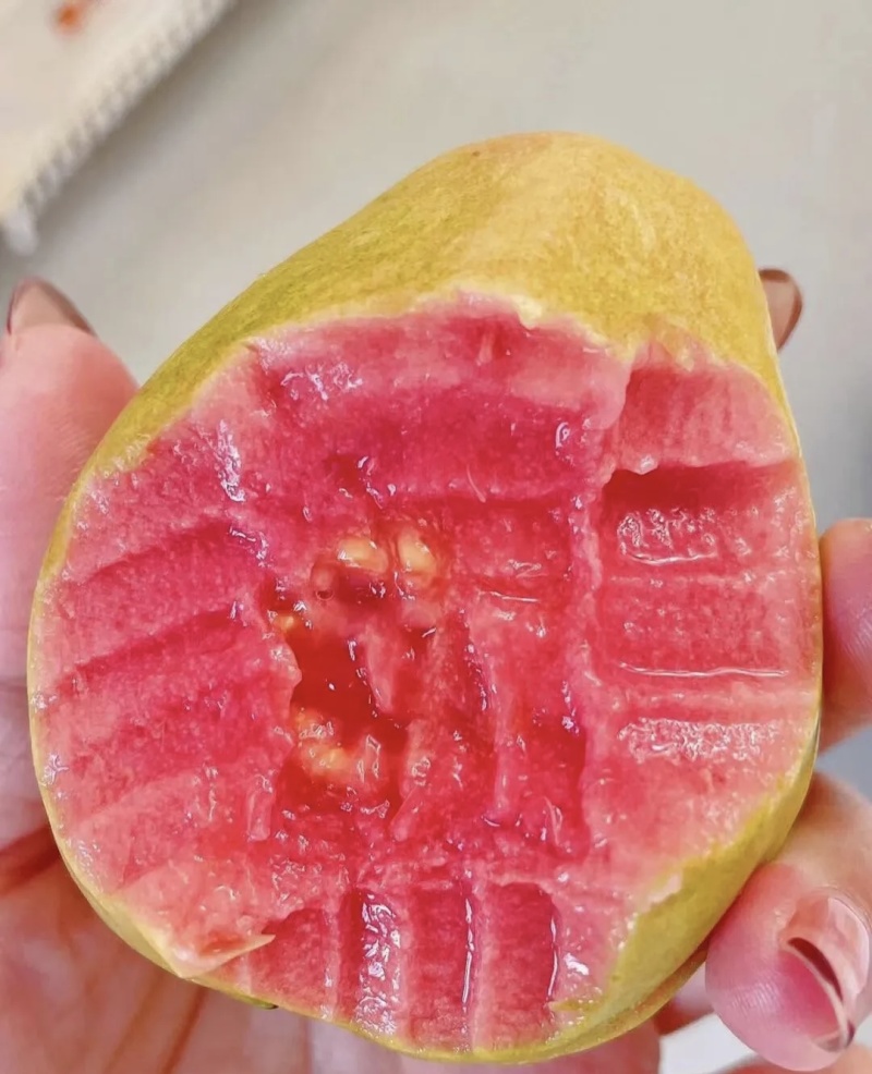 红心芭乐/番石榴大量有货品质优现摘现发可视频看货欢迎咨