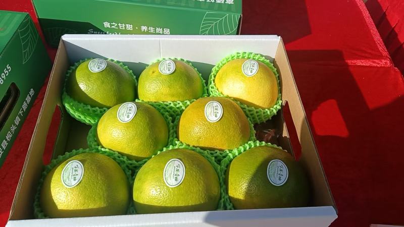 青柚，葡萄柚大量上市产地直发品质保证，服务周到