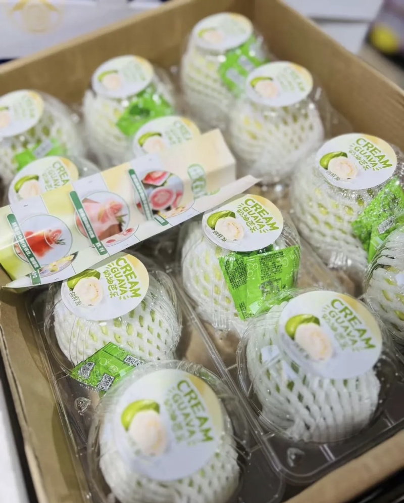 软糯奶油番石榴（奶油芭乐）大量有货基地直供品质优欢迎咨询