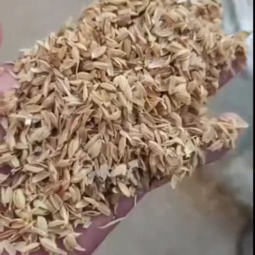 四川除尘谷壳种植专用量大从优