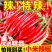 小米椒新鲜现摘特辣尖椒薄皮土红辣椒近金乡产地直营！