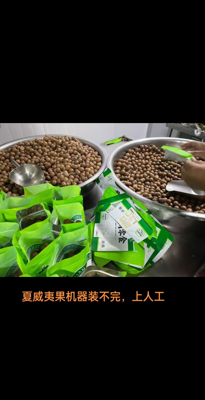 专业夏威夷果供应商