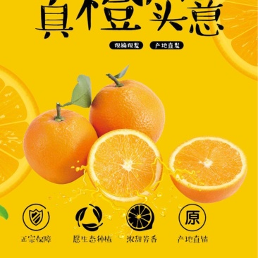 赣南脐橙大量上市，产地直发品质保证服务周到诚信经营