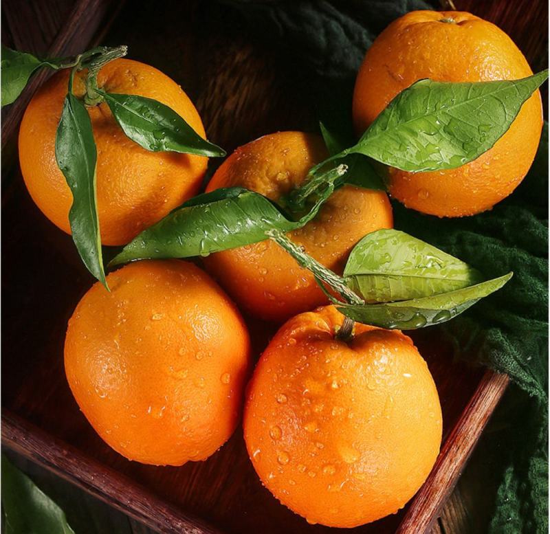 赣南脐橙大量上市，产地直发品质保证服务周到诚信经营