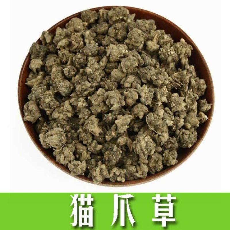 『无中间商』安徽猫爪草批发自种自卖量大价优欢迎咨询