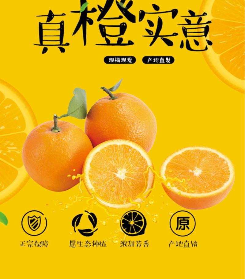 赣南脐橙大量上市产地直发，品质保证，服务周到诚信经营