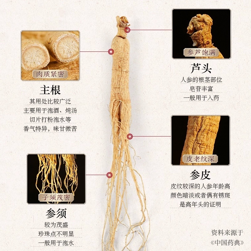 【正宗长白山】生晒参500克整盒干人参批发泡酒煲汤