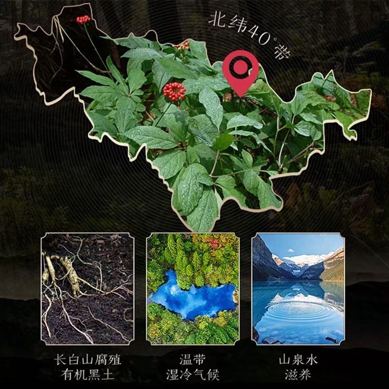 【正宗长白山】生晒参500克整盒干人参批发泡酒煲汤