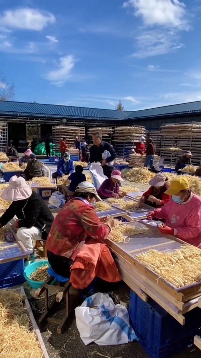 【正宗长白山】生晒参500克整盒干人参批发泡酒煲汤