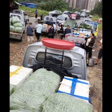 巴中恩阳外围分货，产地应季果蔬