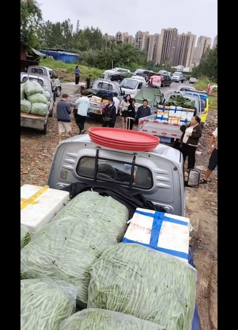 巴中恩阳外围分货，产地应季果蔬