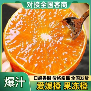 《精选》爱媛果冻橙，市场，电商团购品质保证。