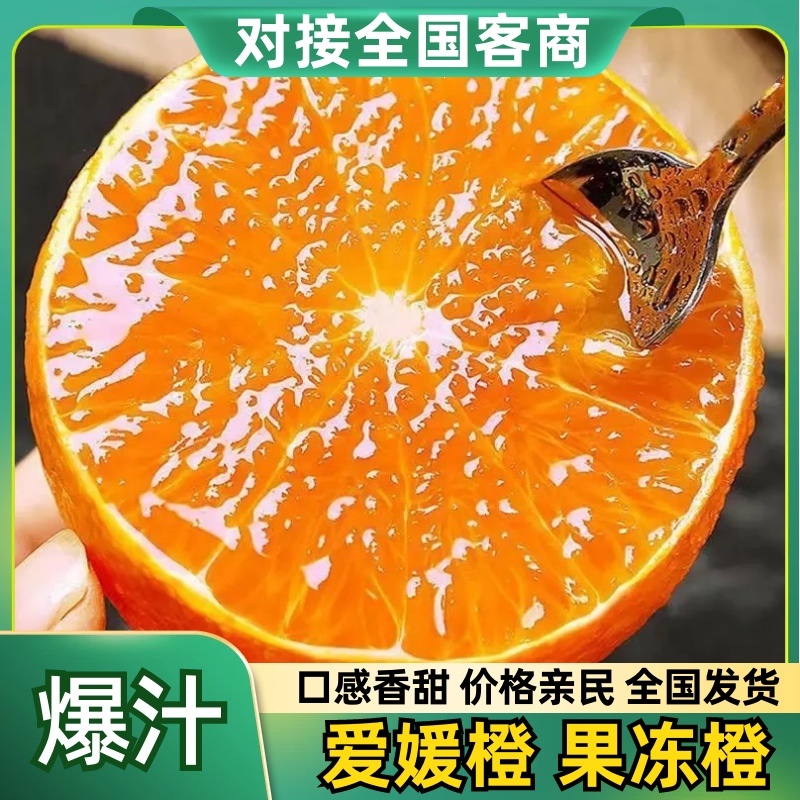 《精选》爱媛果冻橙，市场，电商团购品质保证。