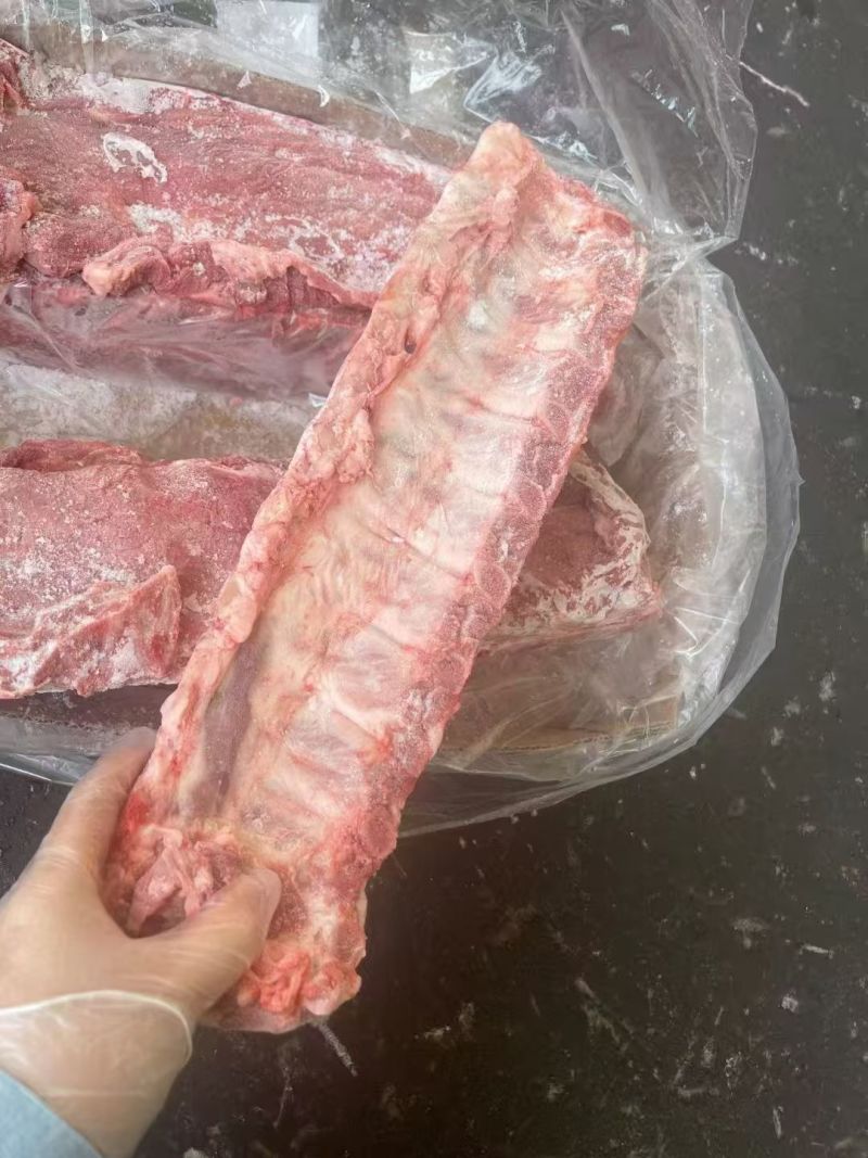猪龙骨，背骨