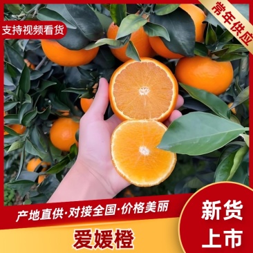 爱媛38号产地直供，价格实惠，欢迎对接合作。