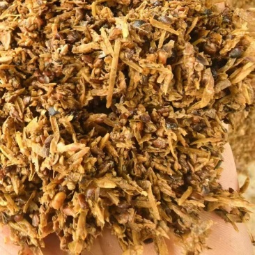 清香型白酒糟各类啤酒糟厂家直销
