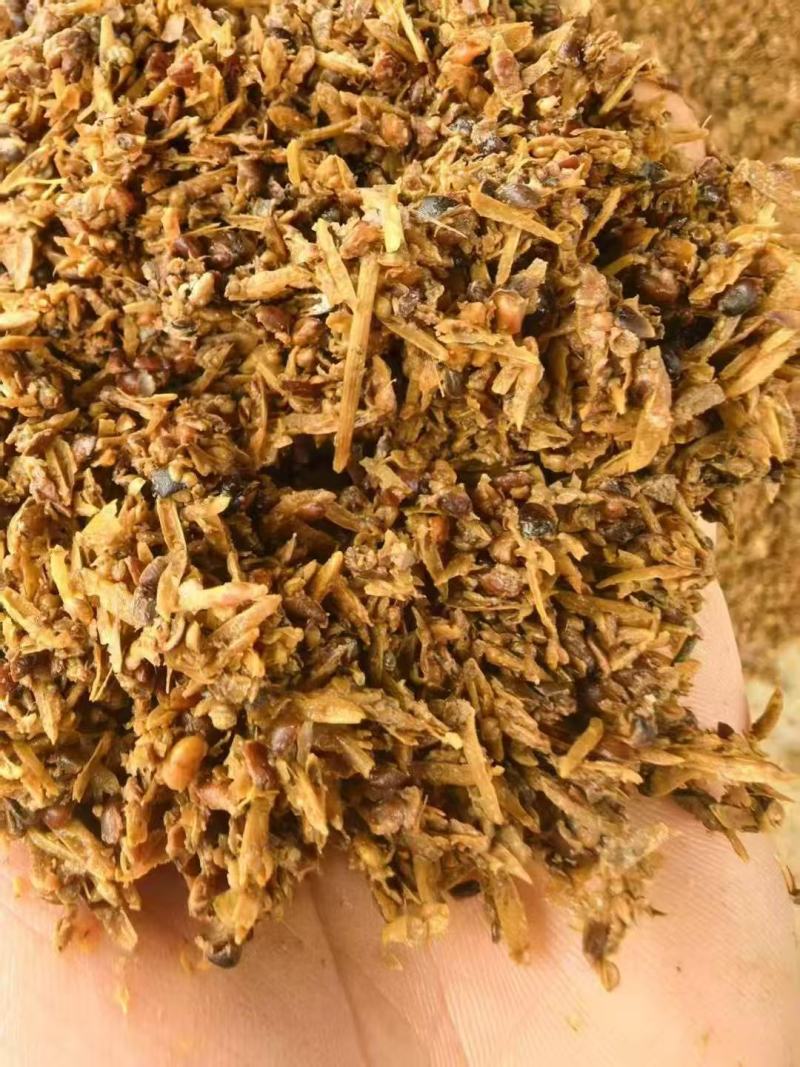 清香型白酒糟各类啤酒糟厂家直销