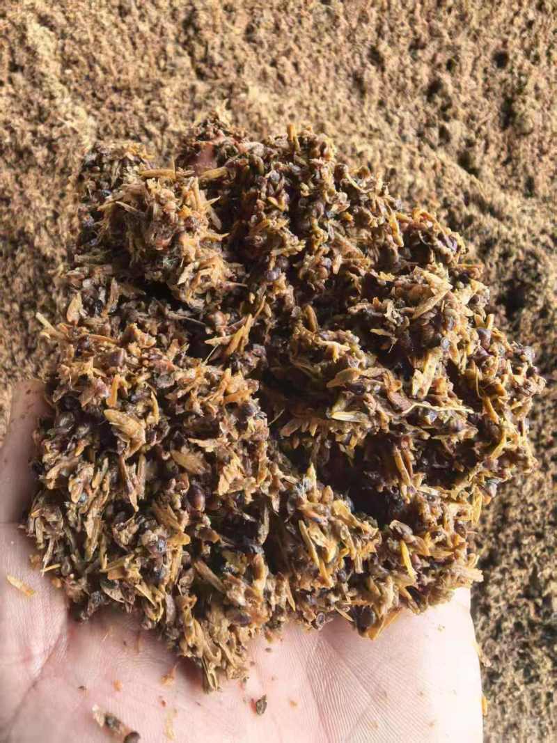 清香型白酒糟各类啤酒糟厂家直销
