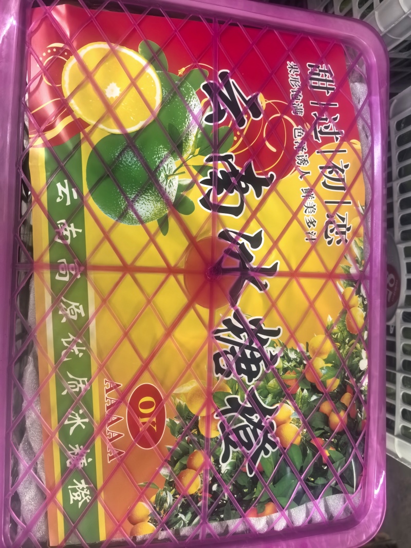云南高山冰糖橙