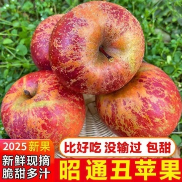 正宗昭通冰糖心丑苹果产地直发