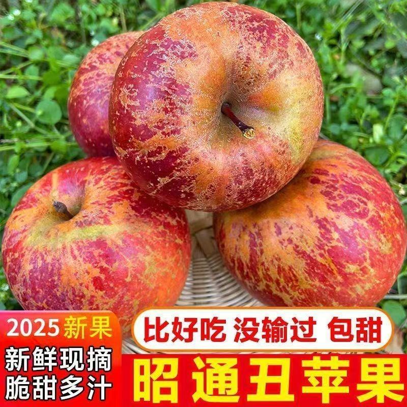 正宗昭通冰糖心丑苹果产地直发