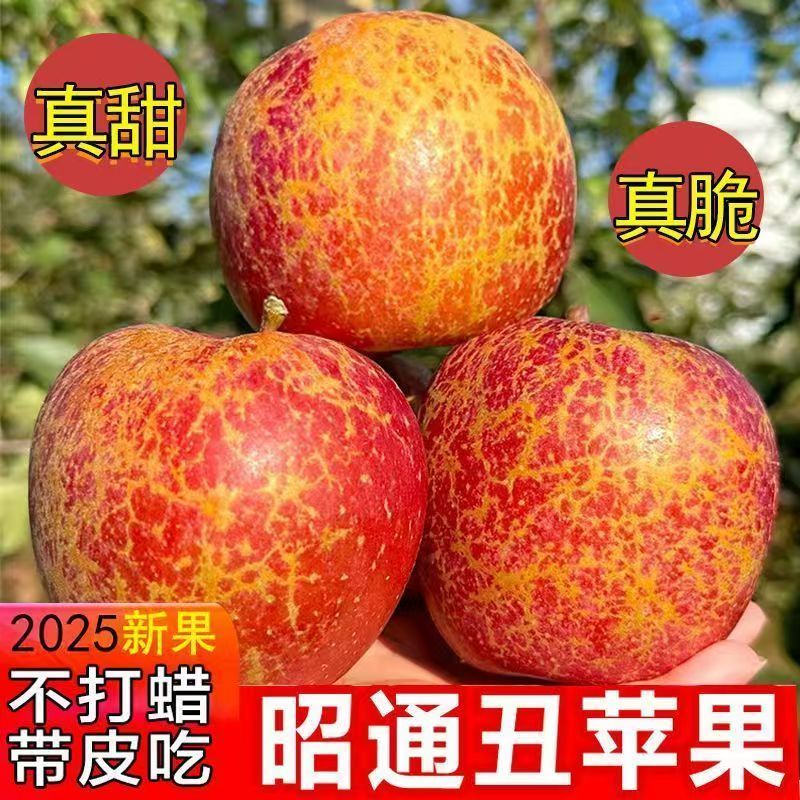正宗昭通冰糖心丑苹果产地直发
