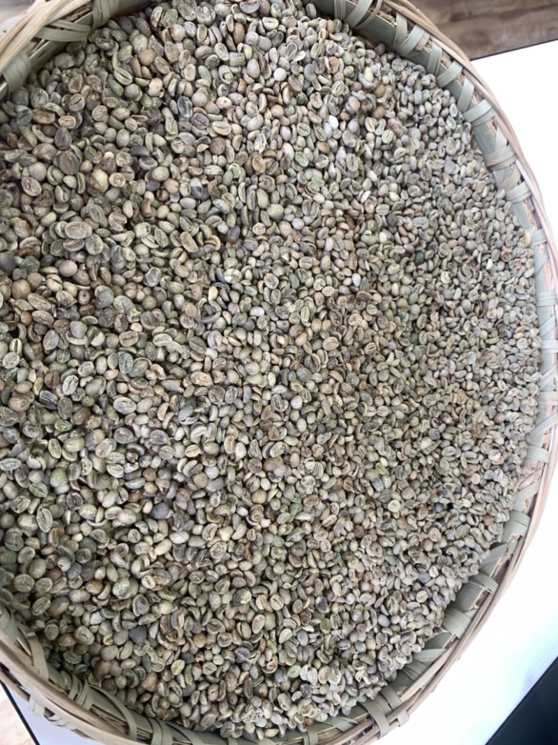 云南二级商业用豆100吨现货