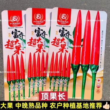 云农富乔超大果朝天椒种子大号海椒晚熟小米辣种子指天椒种籽