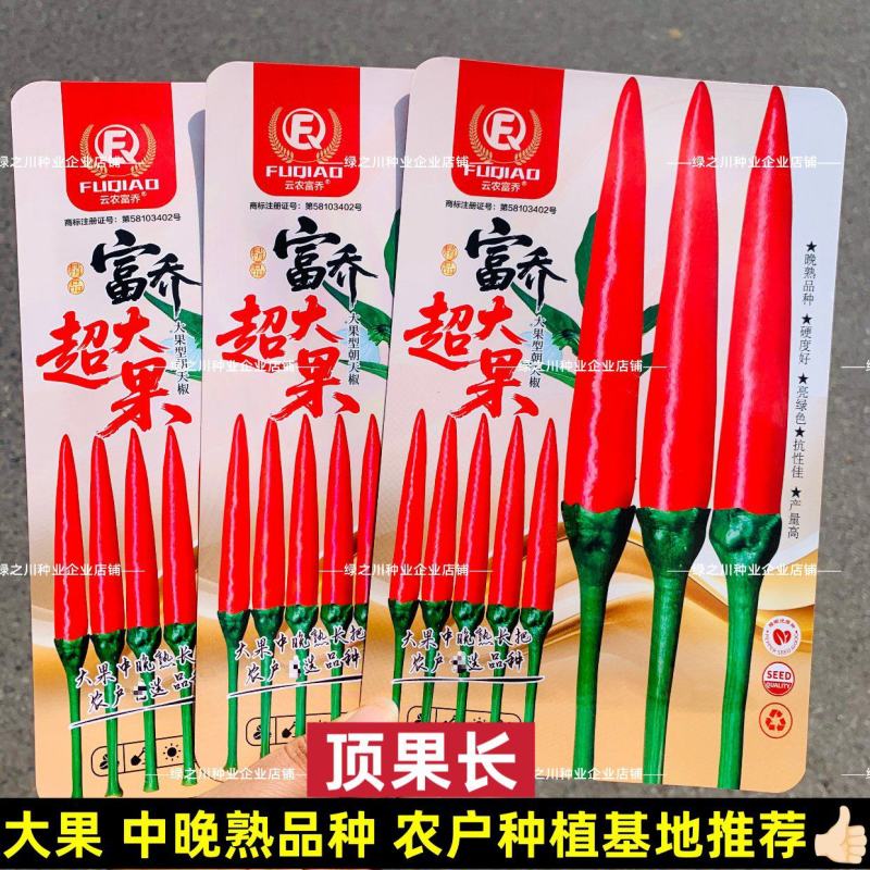 云农富乔超大果朝天椒种子大号海椒晚熟小米辣种子指天椒种籽