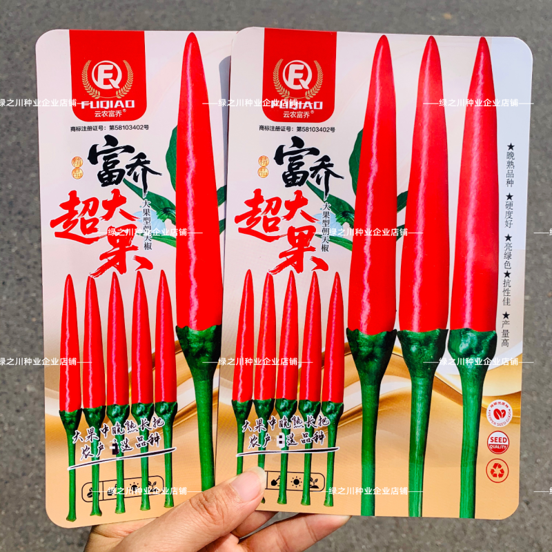 云农富乔超大果朝天椒种子大号海椒晚熟小米辣种子指天椒种籽