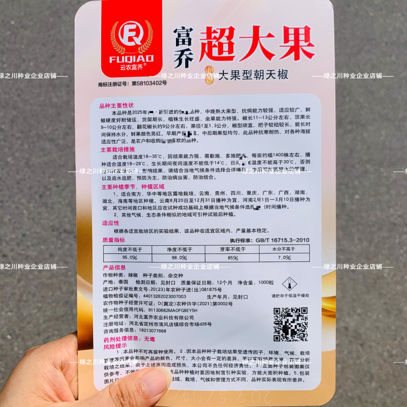 云农富乔超大果朝天椒种子大号海椒晚熟小米辣种子指天椒种籽