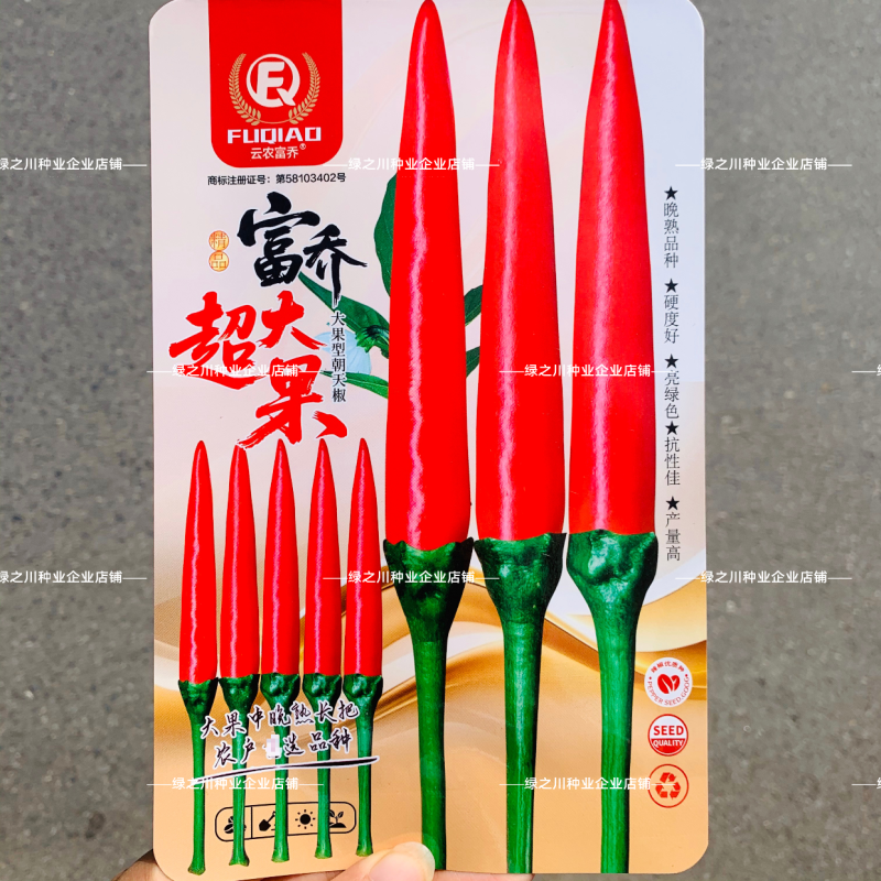 云农富乔超大果朝天椒种子大号海椒晚熟小米辣种子指天椒种籽