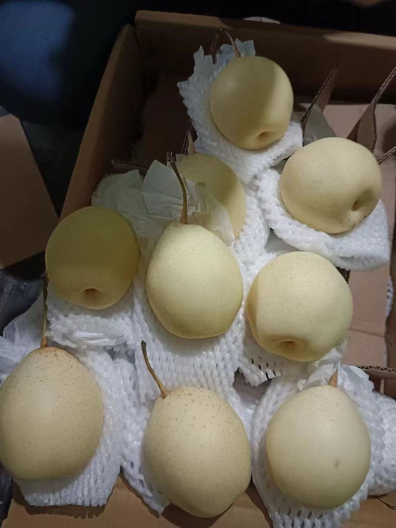 精品鸭梨，皇冠梨，秋月梨。冷库直发***********