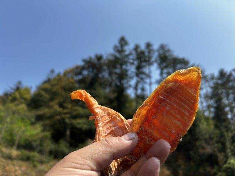 井冈山笋干（玉兰片），大量供应，产地直发