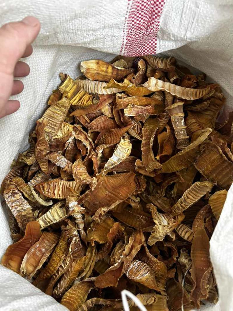 井冈山笋干（玉兰片），大量供应，产地直发