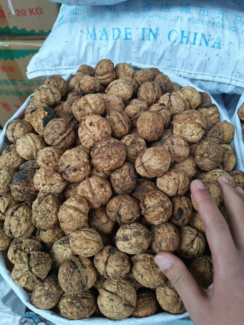 云南高山核桃，麻子核桃大泡果，大量现货，
