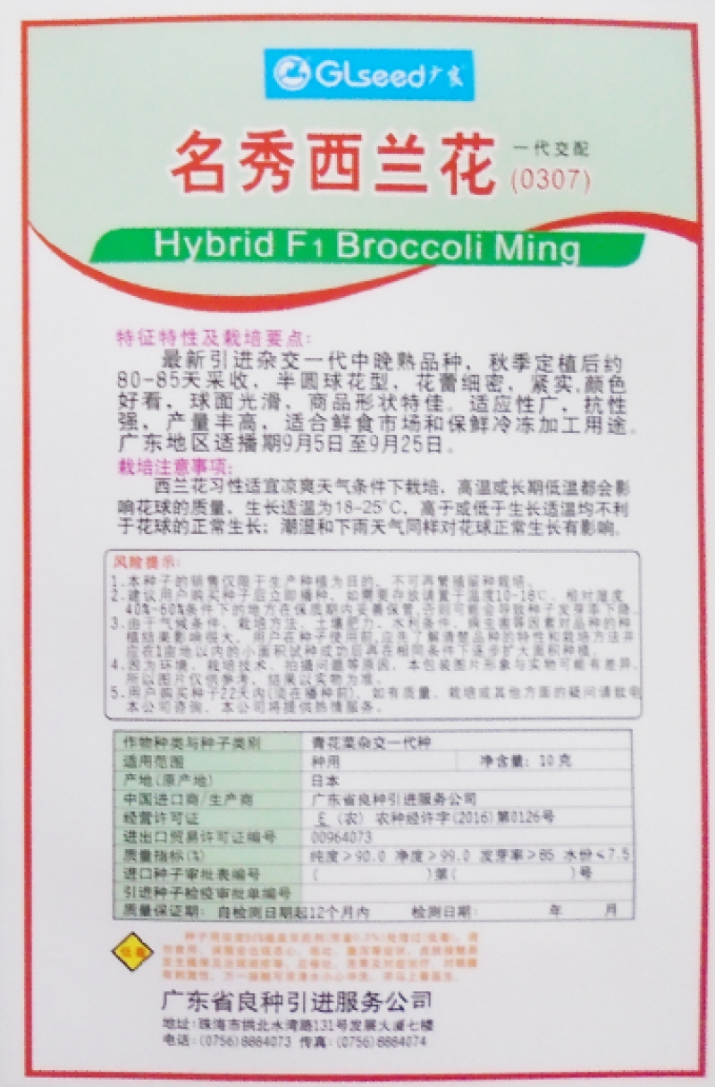 名秀西兰花种子耐寒西兰花种子越冬不发红西兰花