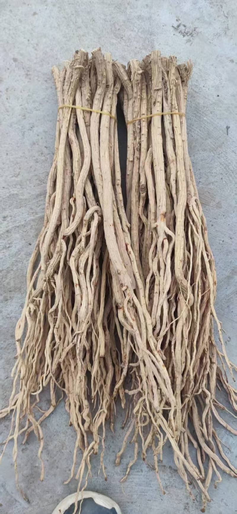 甘肃特产去头防风