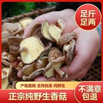 野生香菇黄底黑面烤干特香饺子炒菜饭堂商用实惠装