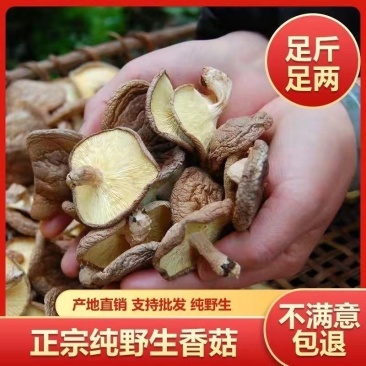 野生香菇黄底黑面烤干特香饺子炒菜饭堂商用实惠装