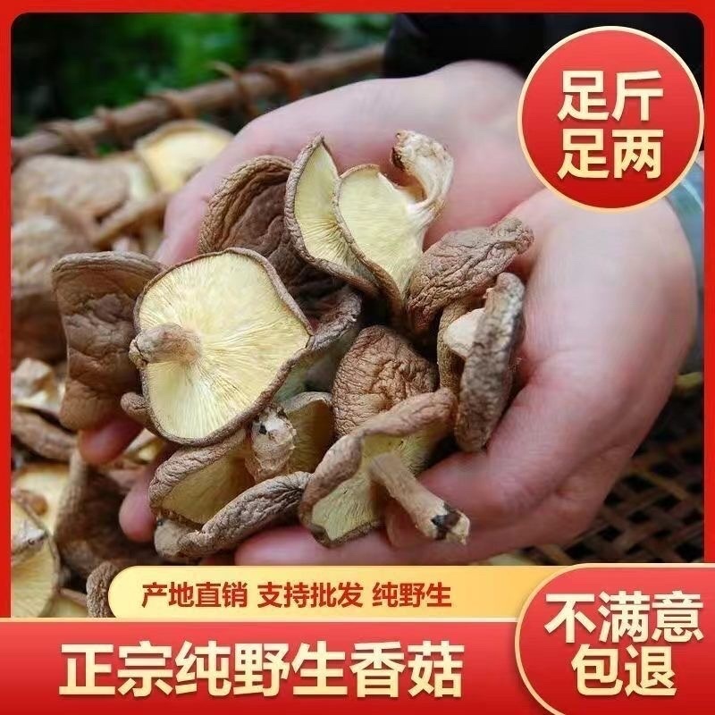 野生香菇黄底黑面烤干特香饺子炒菜饭堂商用实惠装