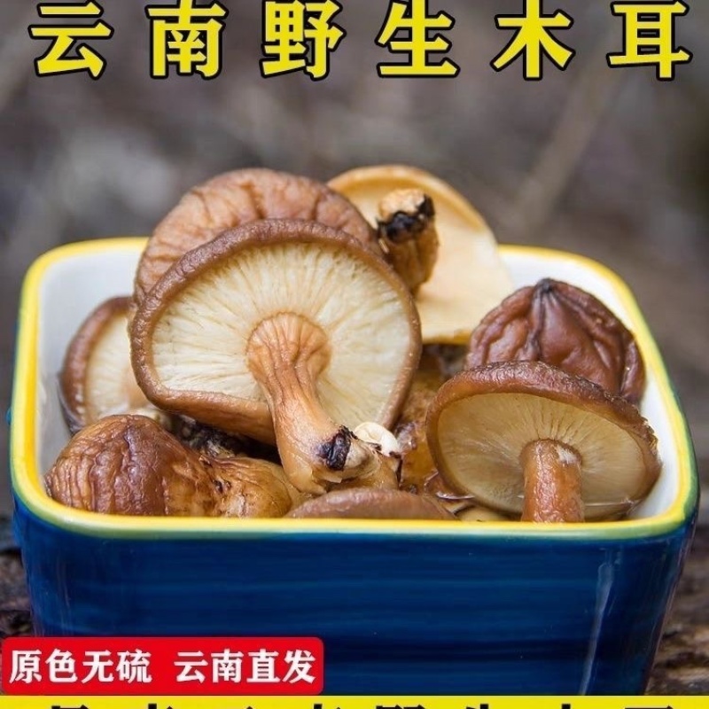 野生香菇黄底黑面烤干特香饺子炒菜饭堂商用实惠装