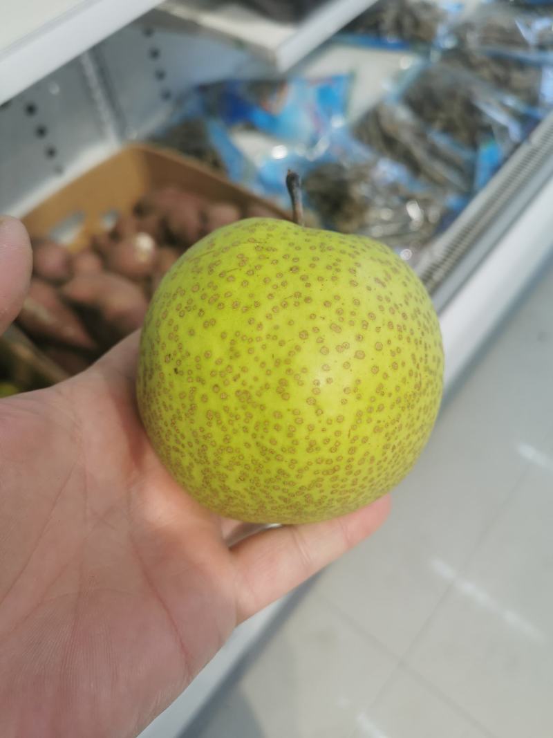 辽南金丰梨多汁皮薄口感好