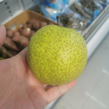 辽南金丰梨多汁皮薄口感好