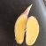 云南鲜黄姜，出土就装车，保质保量。包装上车一体。